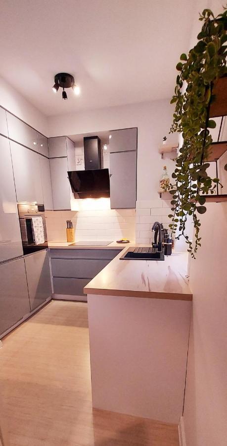 White Velvet Apartment กอร์ซุฟเวียลคอปอลสกี ภายนอก รูปภาพ
